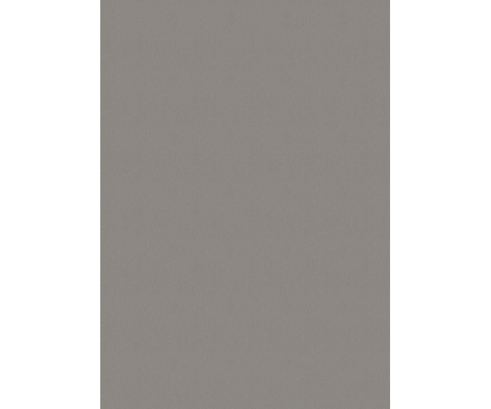 Countertop EGGER F502 ST2 Brushed Aluminium 4100x600x38